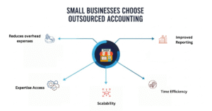 Access to Greater Expertise and Professional Experience
